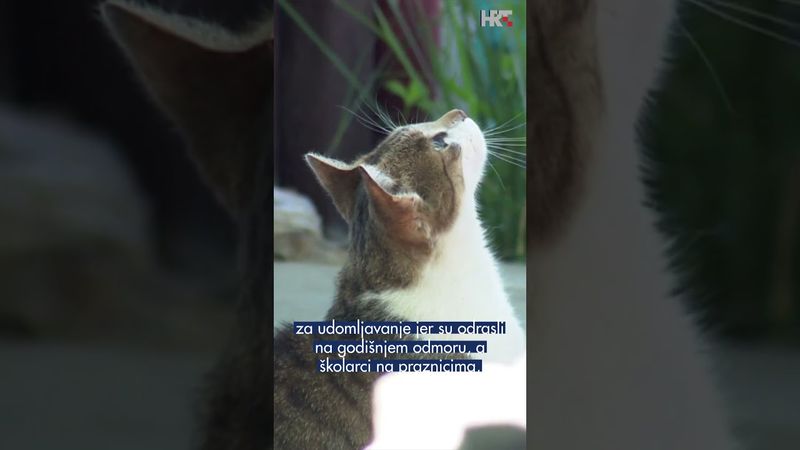 Dan otvorenih vrata Skloništa za nezbrinute životinje Grada Zagreba