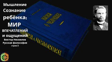 Мышление | Сознание ребёнка МИР впечатлений и ощущений | Виктор Несмелов | Русский философ | стрим 3