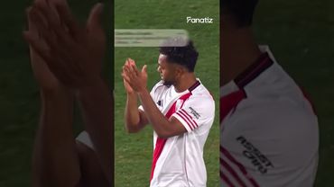 LO QUE TE COMISTE, COLIBRÍ 😱