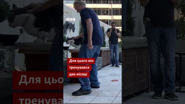 Кіт може перестрибнути через всю кімнату? Оскар із Техасу встановив світовий рекорд! #shorts #кіт