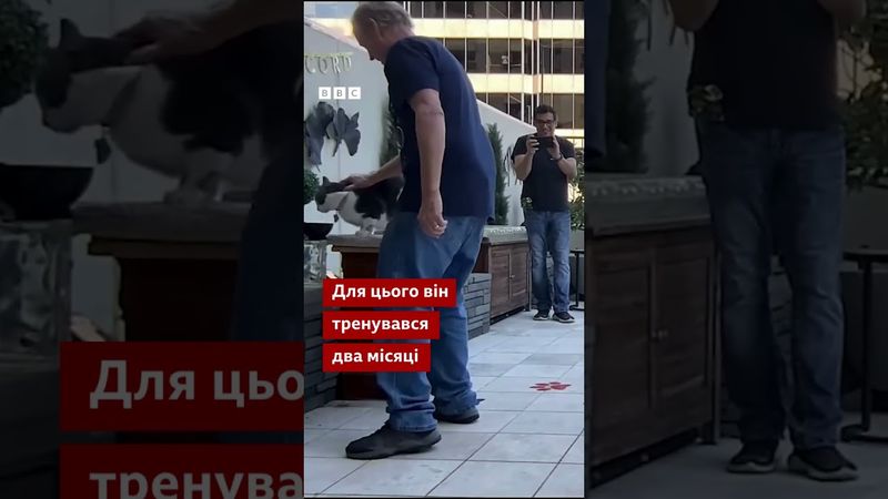 Кіт може перестрибнути через всю кімнату? Оскар із Техасу встановив світовий рекорд! #shorts #кіт