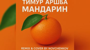 Мандарин · Тимур Аршба (Remix & Cover by Novchenkov) 2025