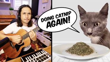 The Kiffness - Doing Catnip Again (Singing Cat Song)