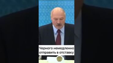 Чёрного немедленно отправить в отставку #новости #беларусь #лукашенко #диктатура