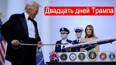 Двадцать дней Трампа