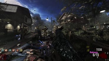 FARM SURVIVAL | Call of Duty: Custom Zombies