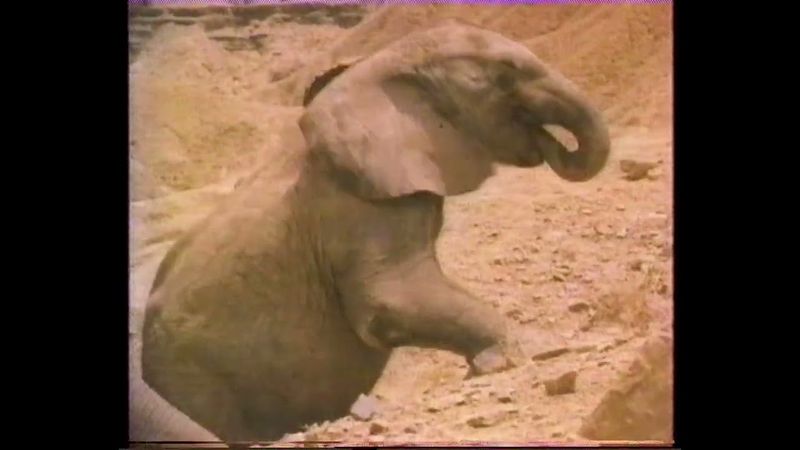 Короткий рекламный блок (НТВ, 04.01.1998)