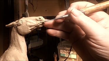 BATTLING FOR DOMINANCE   Sculpting the Head of the Horse