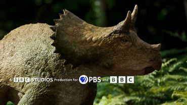 BBC Studios/PBS/BBC (2025)