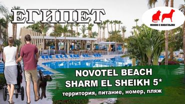 ЕГИПЕТ 2025| NOVOTEL BEACH  Sharm El Sheikh 5*. Обзор: территория, номера, пляж, питание