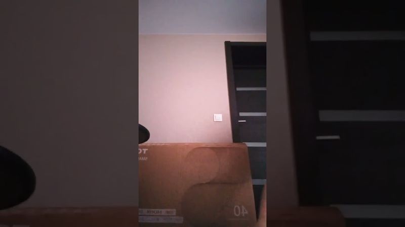 11 февраля 2024 г.