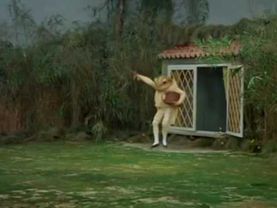 The Tale Of Mr  Jeremy Fisher - The Royal Ballet