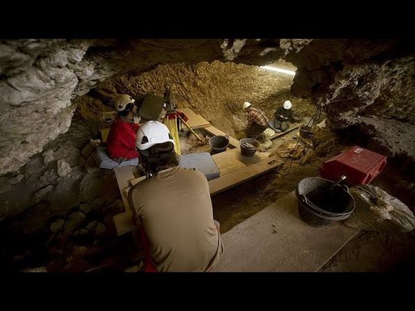 'Extreme exploitation': Spanish archaeologists find signs of war cannibalism from 5,700 years ago