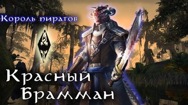 Пират КРАСНЫЙ БРАММАН - аргонианин  или человек? | TES Лор