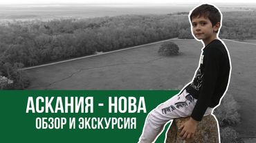 Аскания-нова. Обзор. Экскурсия. Стоит ли ехать?