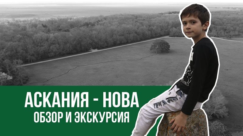 Аскания-нова. Обзор. Экскурсия. Стоит ли ехать?