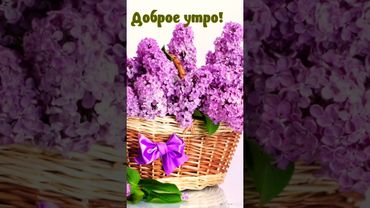 🌺•С ДОБРЫМ УТРОМ •Пусть дела делаются сегодня легко и быстро•Счастья в сегодняшнем дне тебе!•#shorts