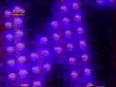 ТВ-6 заставка