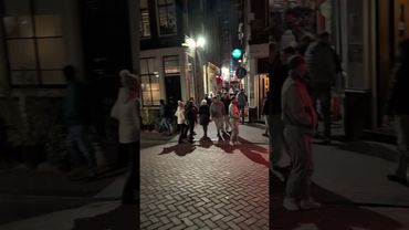 Amsterdam Red Light District is Lively Again! Nightlife & Street Views 🔥🌙 #nightlife #travel #city