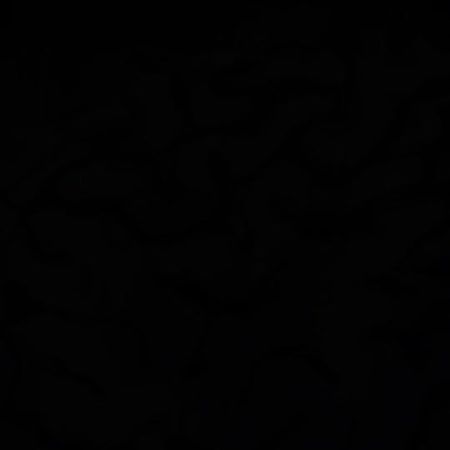 FREE Guide in bio #manifestation #manifest #briantracy #mindset 