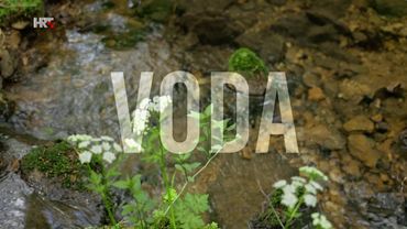 Voda – izvor života