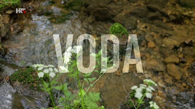 Voda – izvor života