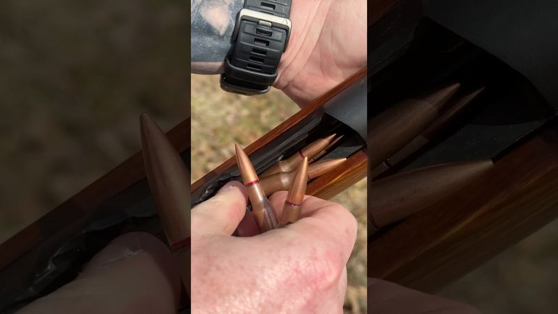 Mosin 91/30 #pewpewlife #pewpew #airsoft #hunting #shorts #short