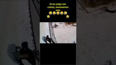 🤣🤣#смехпродлеваетжизнь #приколы #смех #юмор #shorts