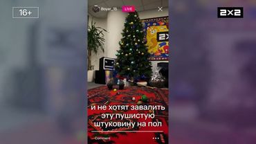 2х2 Кот и Ёлка. Проморолик. Запись от 01.01.2025