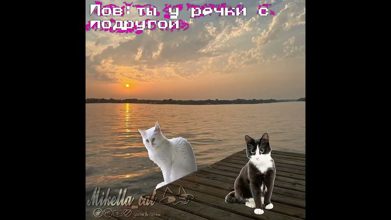 речка#умаляюзалети #cat #активнепадай #рек #teameork #микелла #мем #активприди #активвернись #Ыы #ت