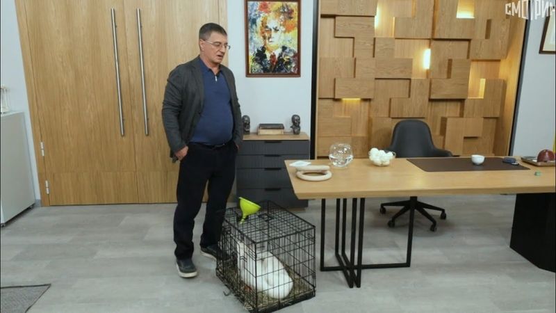 Доктор Мясников. Эфир от 20.12.2025