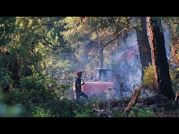 Intense floods strike Romania as wildfires rage across Turkey and Albania