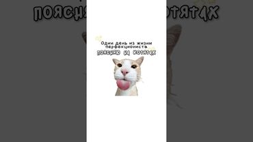 Один день из жизни перфекциониста