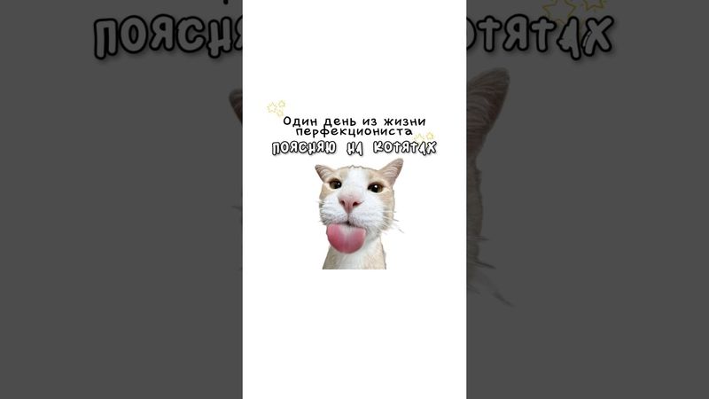 Один день из жизни перфекциониста