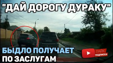 Автоподборка "Дай дорогу дураку"🚘 Быдло получает по Заслугам#117