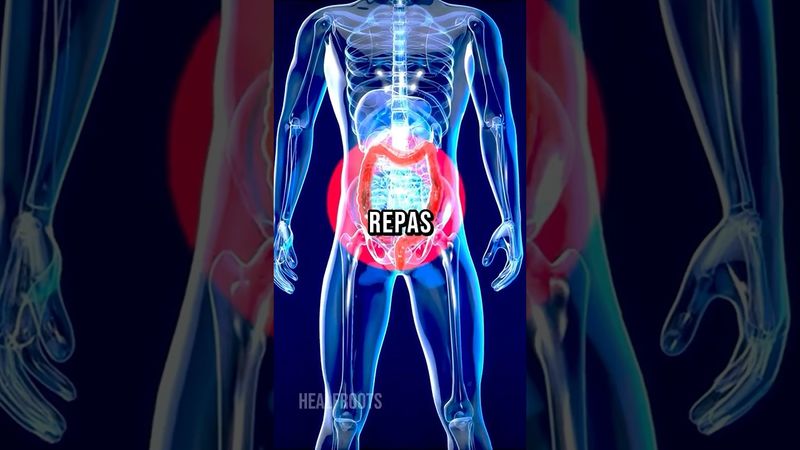 24h sans manger : les effets sur ton corps expliqués. ⏰