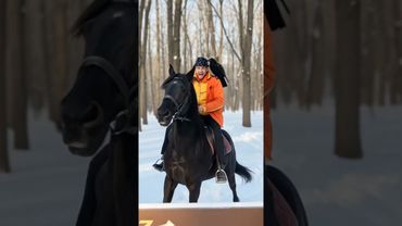 Воронцов на Коне ) #НейрокотСпб #НейроКот #Воронцов #kot #Воронцолог #Завоз #Подпишись #Шортс