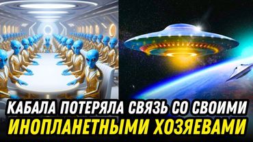 «У нас не было выбора...» — Плеядеанцы — Калин