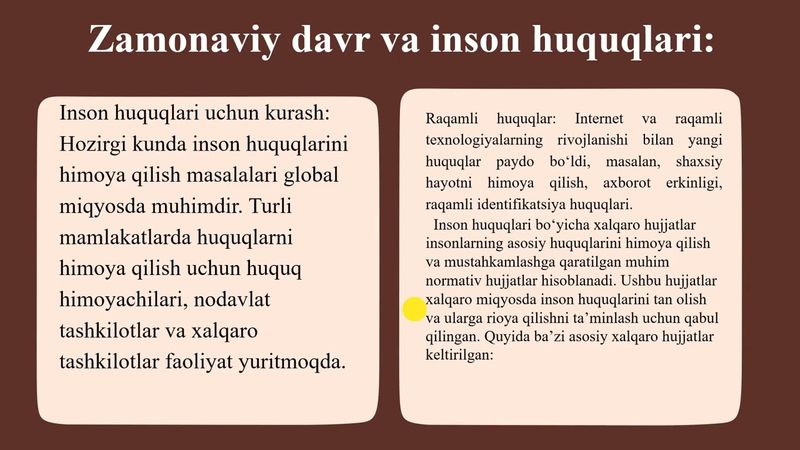 "Ijtimoiy siyosat va inson huquqlari" mavzusida tayyorlangan videodars.