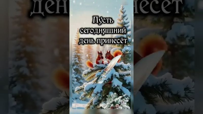 Вторник, С Добрым Утром!