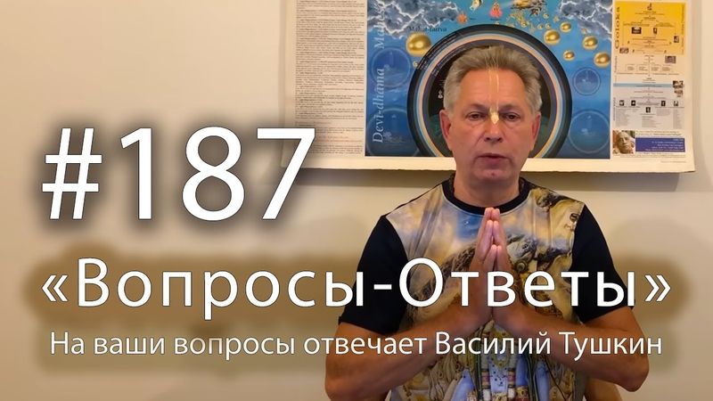 2025-11-14 - "Вопросы-Ответы", Выпуск #187 - Василий Тушкин отвечает на ваши вопросы