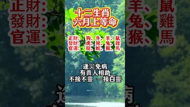 【十二生肖 六月上等命！】不接不灵，一接百灵。6月已经过半了，赶紧接上！接了，轉發，好運來！#生肖 #財運 #運勢 #屬相 #風水 #命理