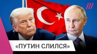 Трамп требует от Путина прилететь на переговоры с Зеленским. Будет ли встреча в Стамбуле?