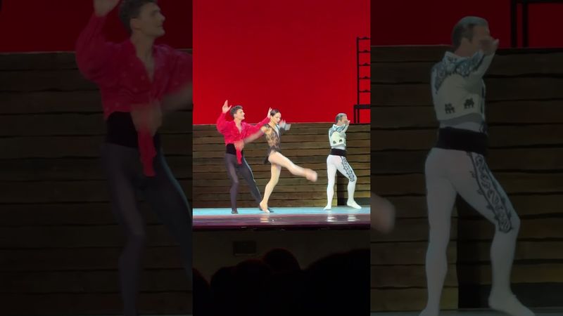 Фрагмент из балета "Кармен-сюита". #opera #mariinskytheatre #dianavishneva #livemusic #mariinsky