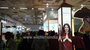 Buy handicrafts of Madhya Pradesh at India International Trade Fair New Delhi