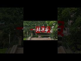 我们只是没读好书罢了！#正能量 #人生感悟 #分享 #格局 #思维认知 #做人做事 #智慧人生 #磁场 #个人修养 #修行思維