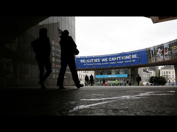 MAGA-aligned conservative groups actively lobby MEPs on climate and tech laws, report claims