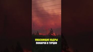 В районе турецкого Измира бушуют масштабные лесные пожары