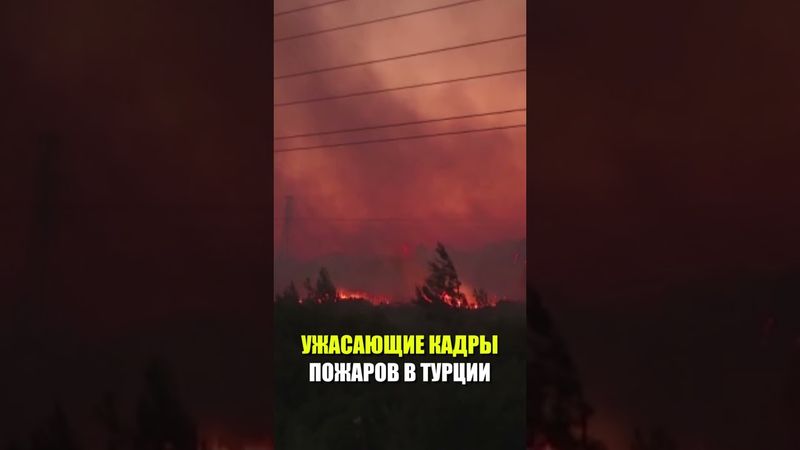 В районе турецкого Измира бушуют масштабные лесные пожары