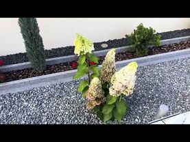 Мечта сбылась.Радуюсь как пацан.Небольшой обзор.Проезд через деревни.Гараж.Германия.